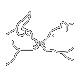 BearVsBulls_transparent_corrected